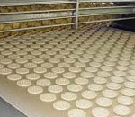 Light Weight Biscuit Webbing